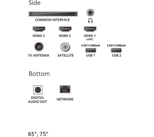 Philips 75PUS7800/12 75 inch QLED TV showcasing vibrant colors and sharp detail